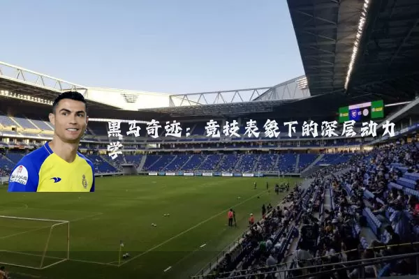 黑马奇迹：竞技表象下的深层动力学